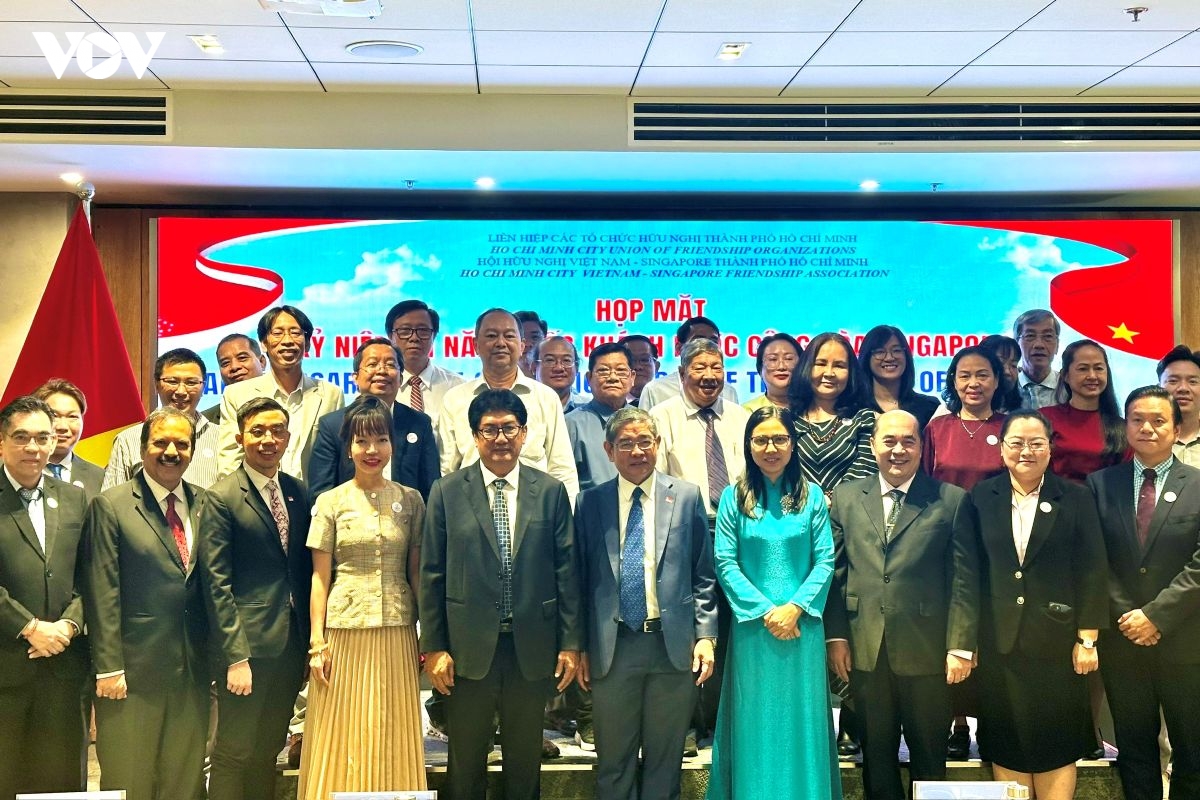 tp.hcm - singapore tu nen tang huu nghi den dong luc hop tac moi hinh anh 5