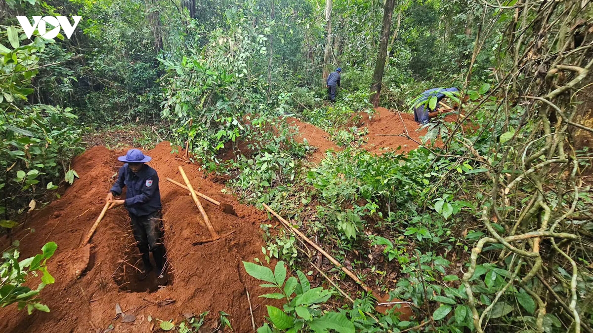 xac minh thong tin, quyet tam quy tap hai cot liet si tai Dak O, Dong nai hinh anh 4