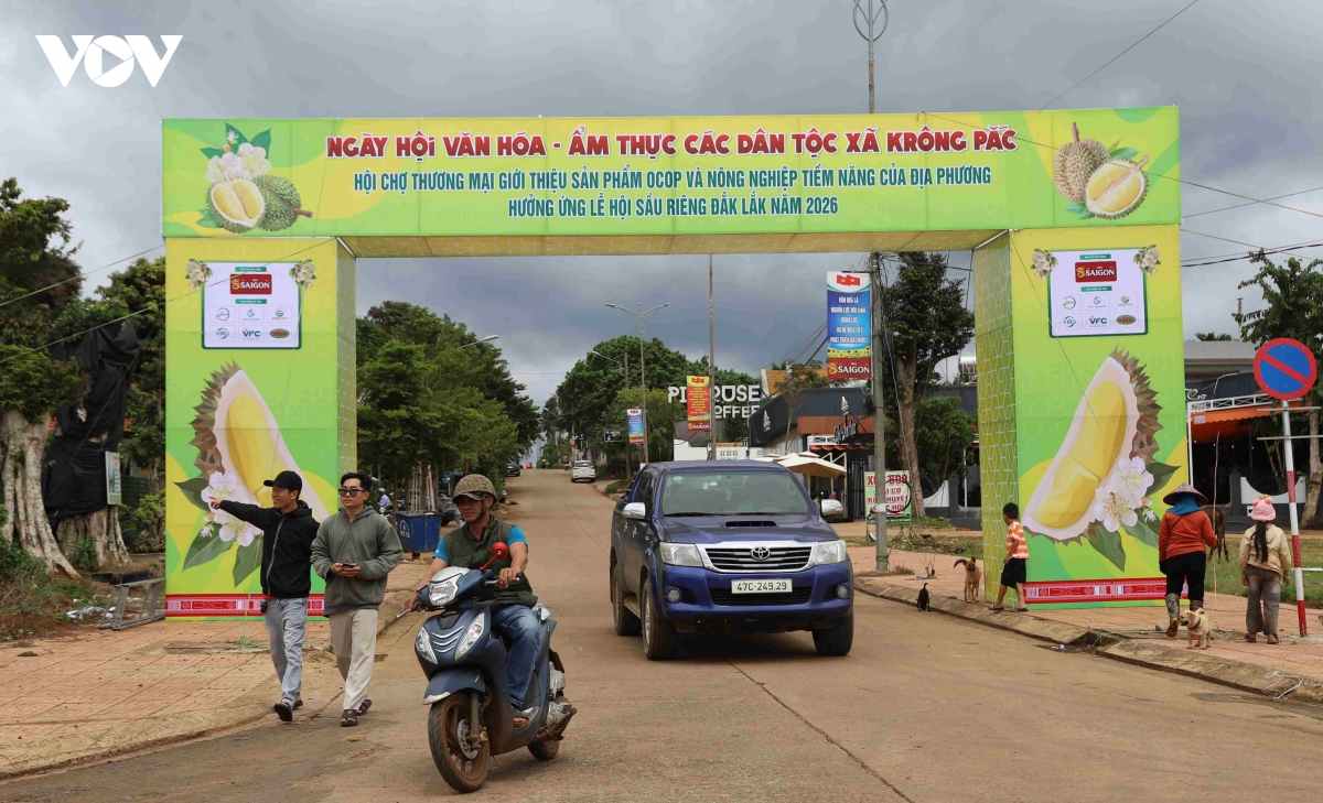 san sang cho le hoi trai cay ty do o Dak lak hinh anh 7