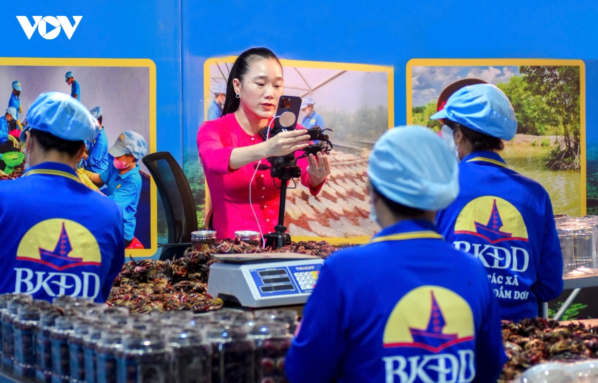 hanh trinh dua ba khia Dam doi vuon xa cua cap vo chong tre o ca mau hinh anh 9