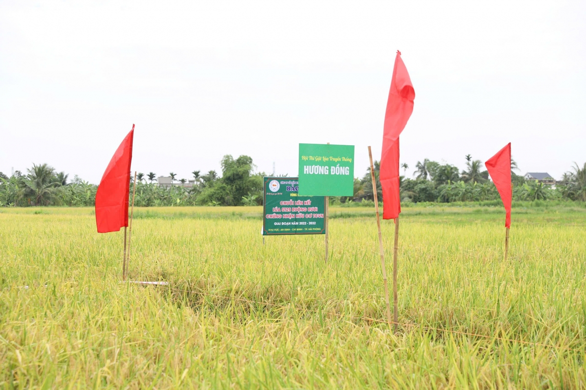 _hai-phong-hien-trien-khai-nhieu-chinh-sach-khuyen-khich-phat-trien-san-xuat-nong-nghiep-hang-hoa-tap-trung.jpg