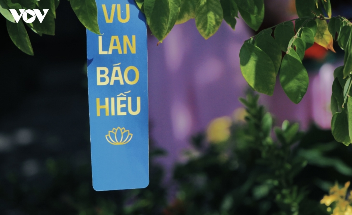 mua vu lan, nguoi dan tp.hcm gui loi nguyen cau binh an hinh anh 3