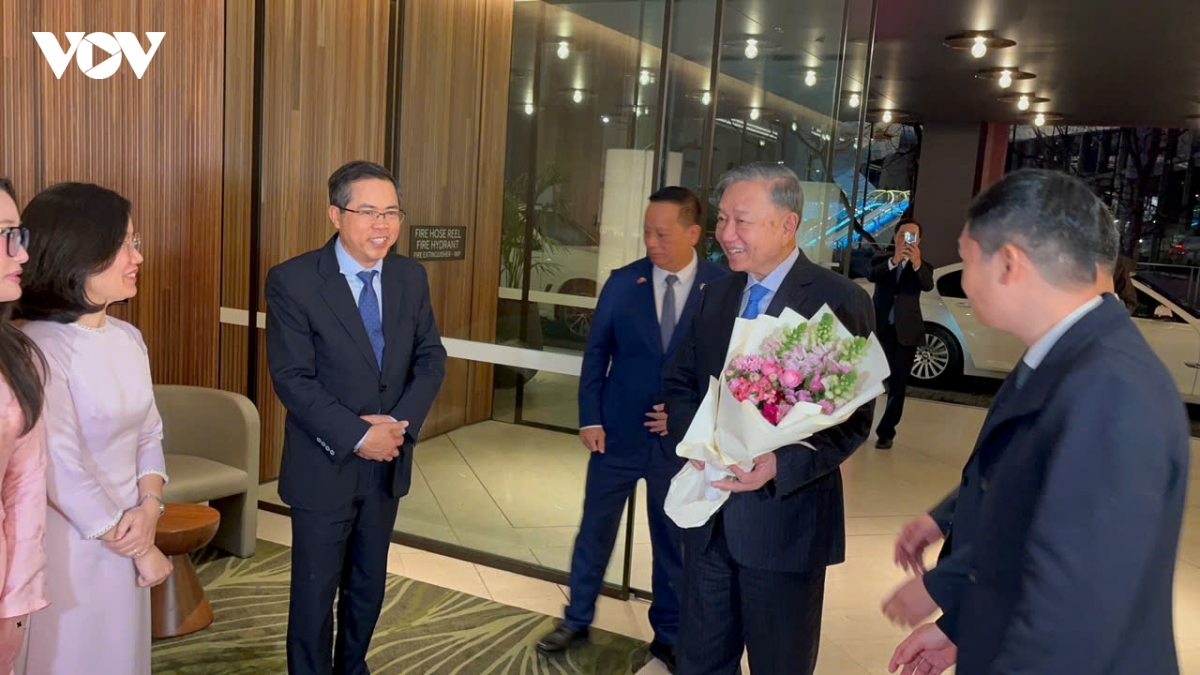 tong bi thu, chu tich nuoc to lam toi sydney, bat dau tham cap nha nuoc australia hinh anh 3