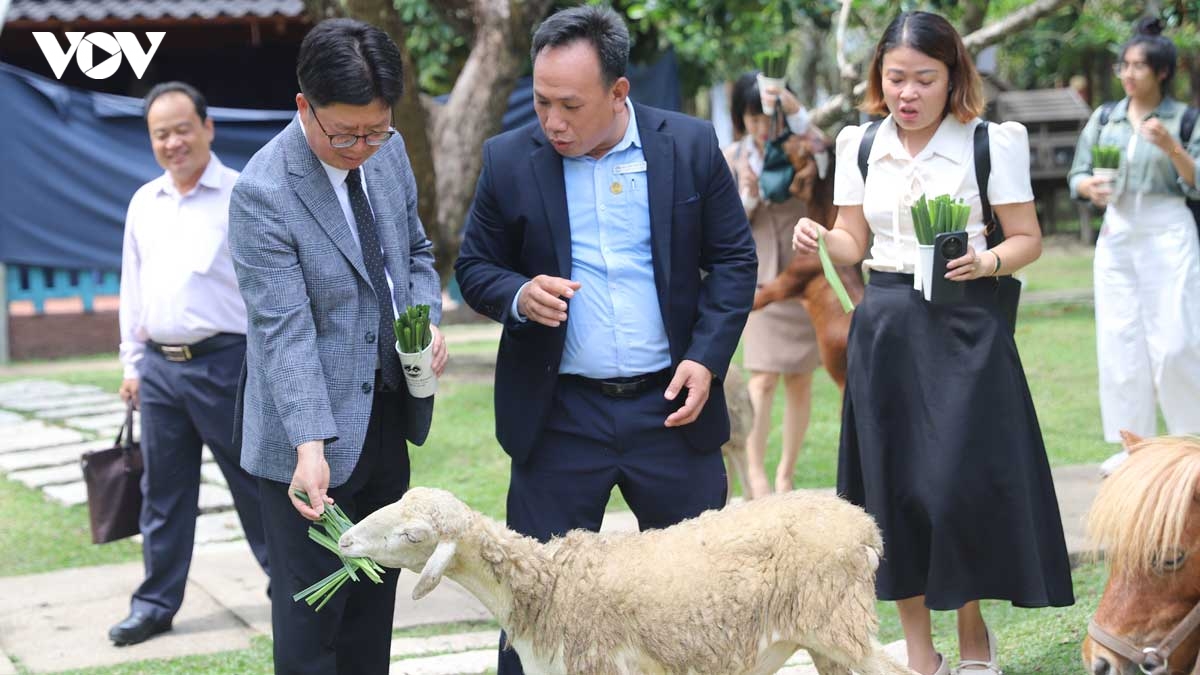 pho huyen truong cua han quoc quang ba le hoi truyen thong o mien tay hinh anh 2
