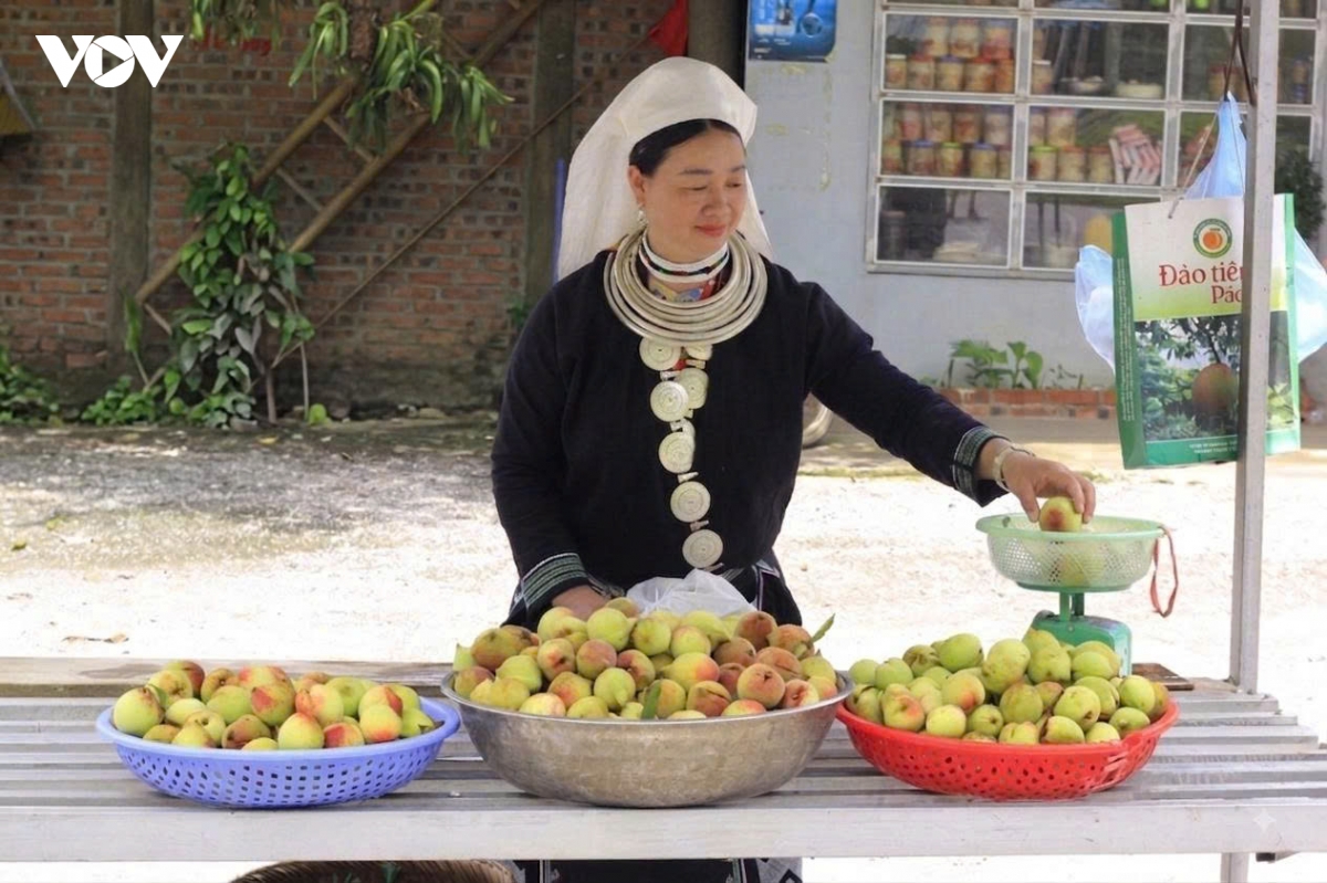 huong dao pac A vi ngot cua nui rung thai nguyen hinh anh 4