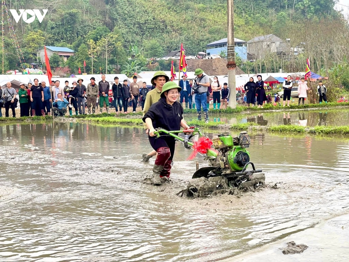nu bi thu xa livestream ban nong san, hon 2.000 qua dua luoi duoc chot don hinh anh 3
