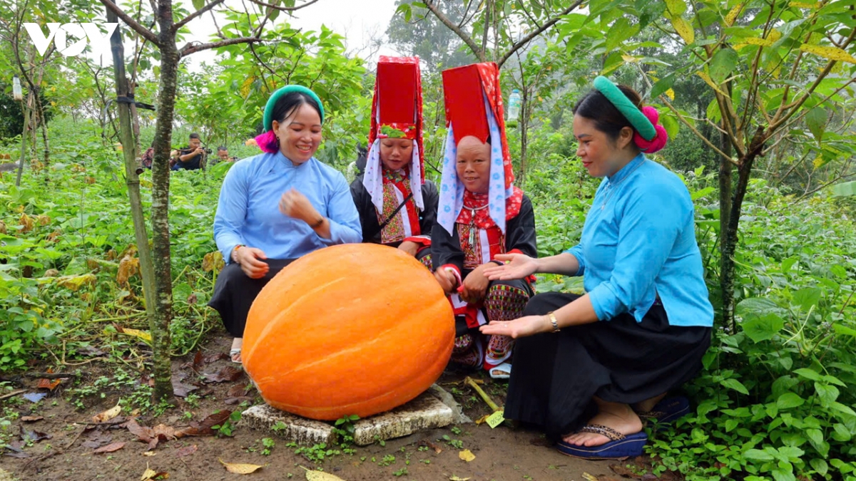 len bien gioi xem bi ngo khong lo o hoanh mo hinh anh 2