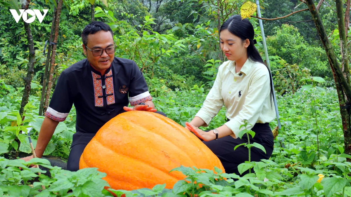 len bien gioi xem bi ngo khong lo o hoanh mo hinh anh 1