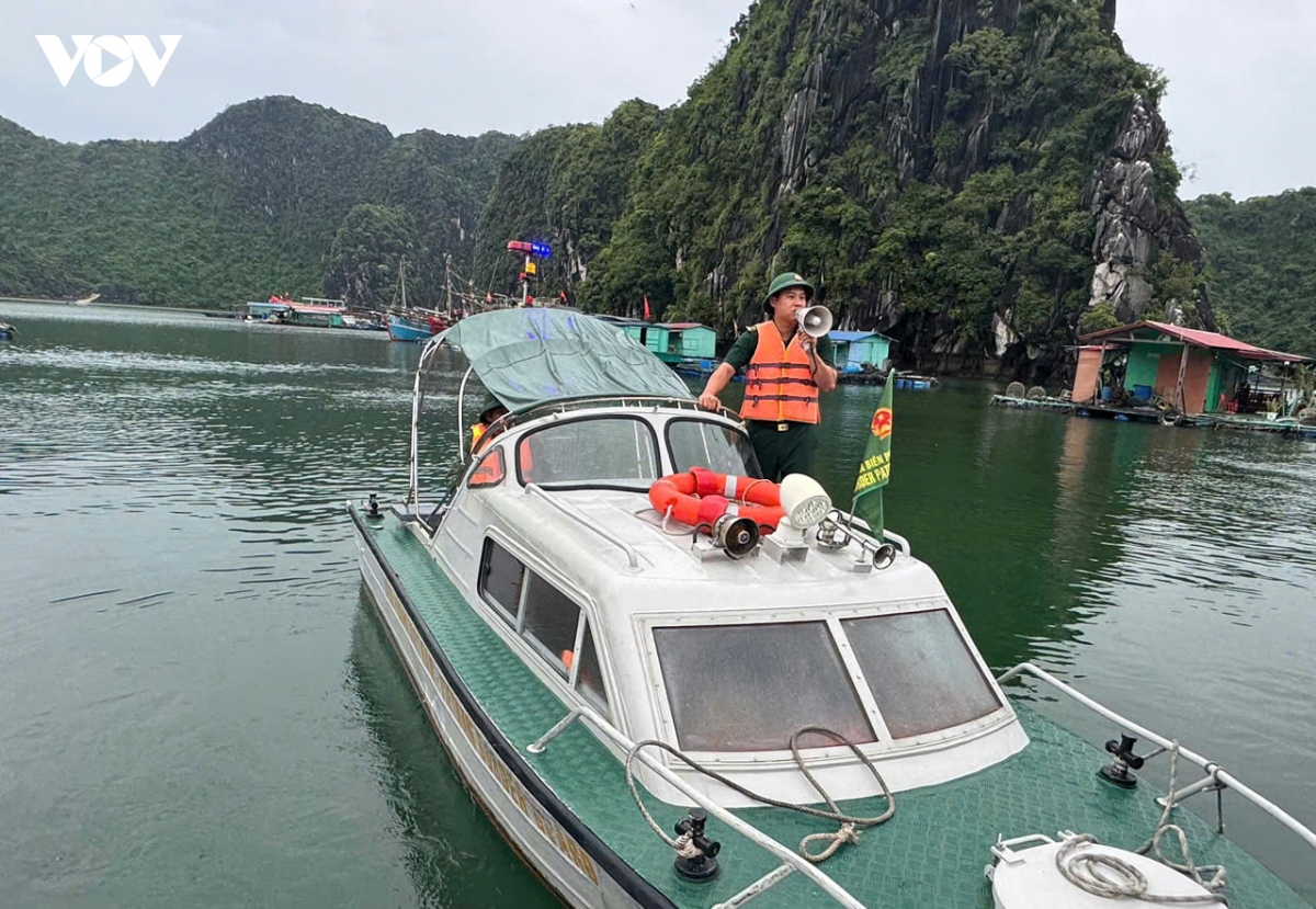 toan bo tau thuyen tai hai phong da vao noi tranh tru bao so 4 an toan hinh anh 2