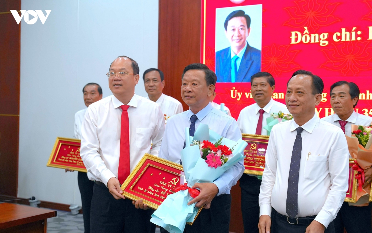 ca mau trao huy hieu Dang cho 3.049 dang vien dip quoc khanh hinh anh 2