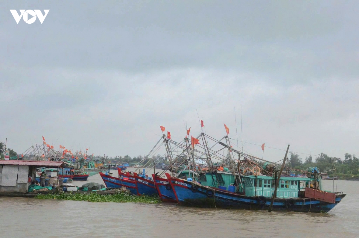 Hải Phòng bảo đảm an toàn tàu thuyền tại nơi neo đậu