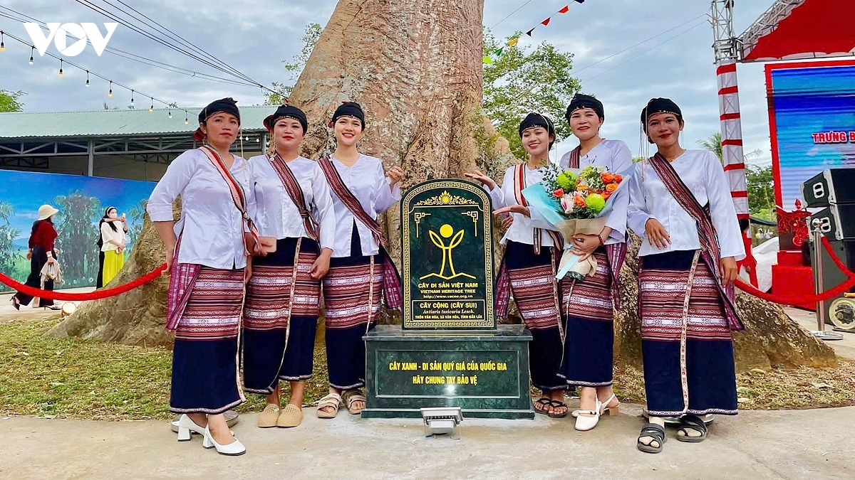 tai hien cho Don xua - noi giao thuong giua mien xuoi va thuong ngan hinh anh 6