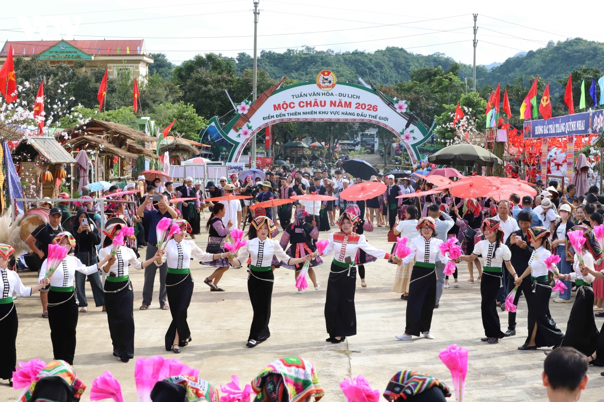 cao nguyen moc chau ron rang tet Doc lap hinh anh 2