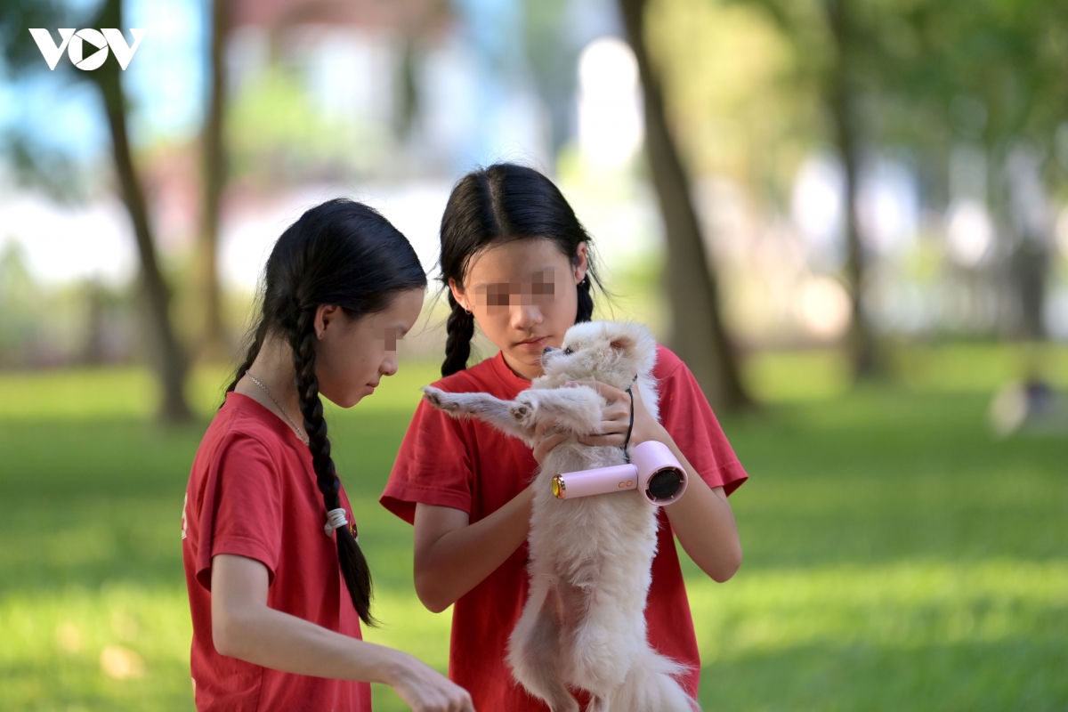 quy dinh phat tien trieu, nhieu nguoi van dat cho tha rong ra noi cong cong hinh anh 10