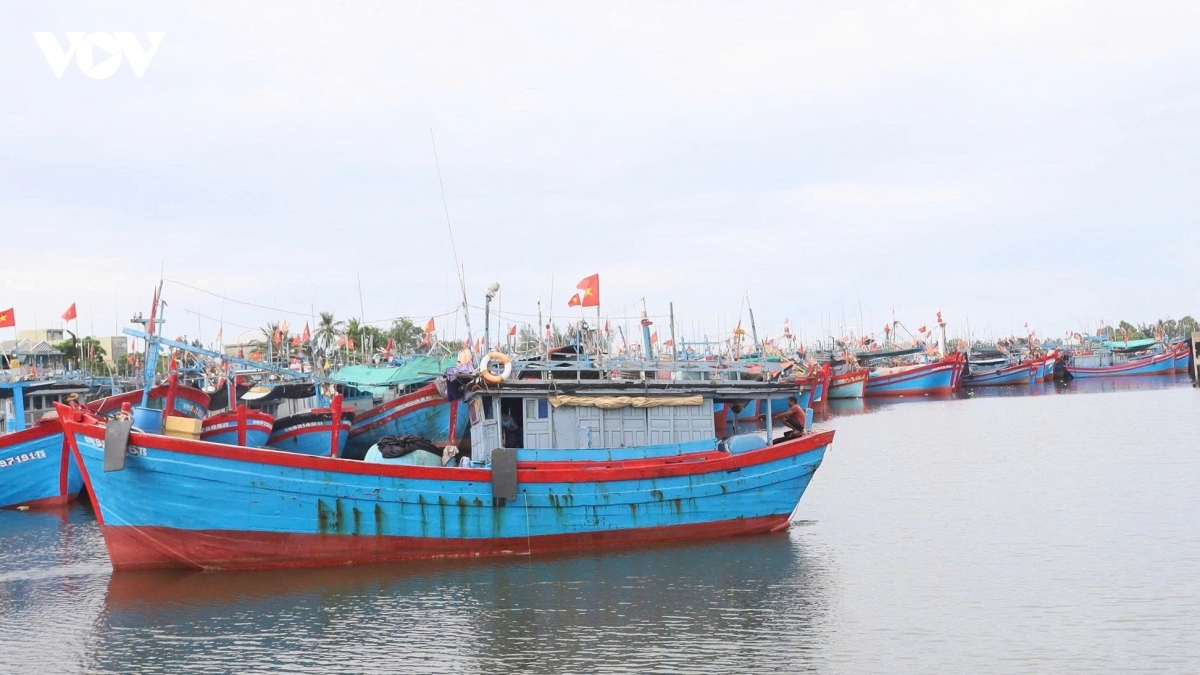 quyet tam go the vang iuu trong nam 2026 hinh anh 1