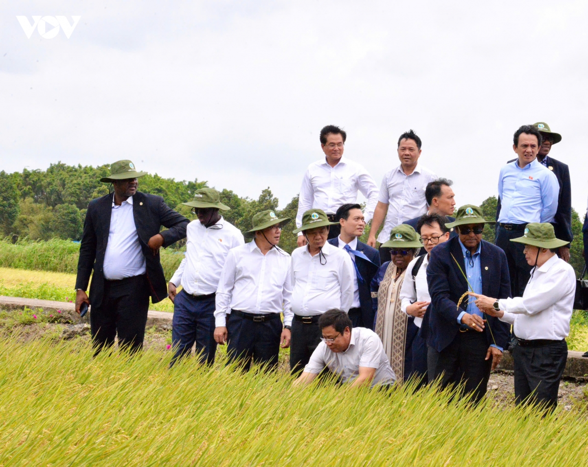 viet nam - bo bien nga thuc day hop tac trong linh vuc nong nghiep hinh anh 2