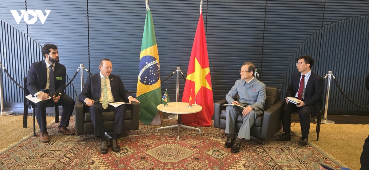Doan dai bieu Dang cong san viet nam tham va lam viec tai brasil hinh anh 1