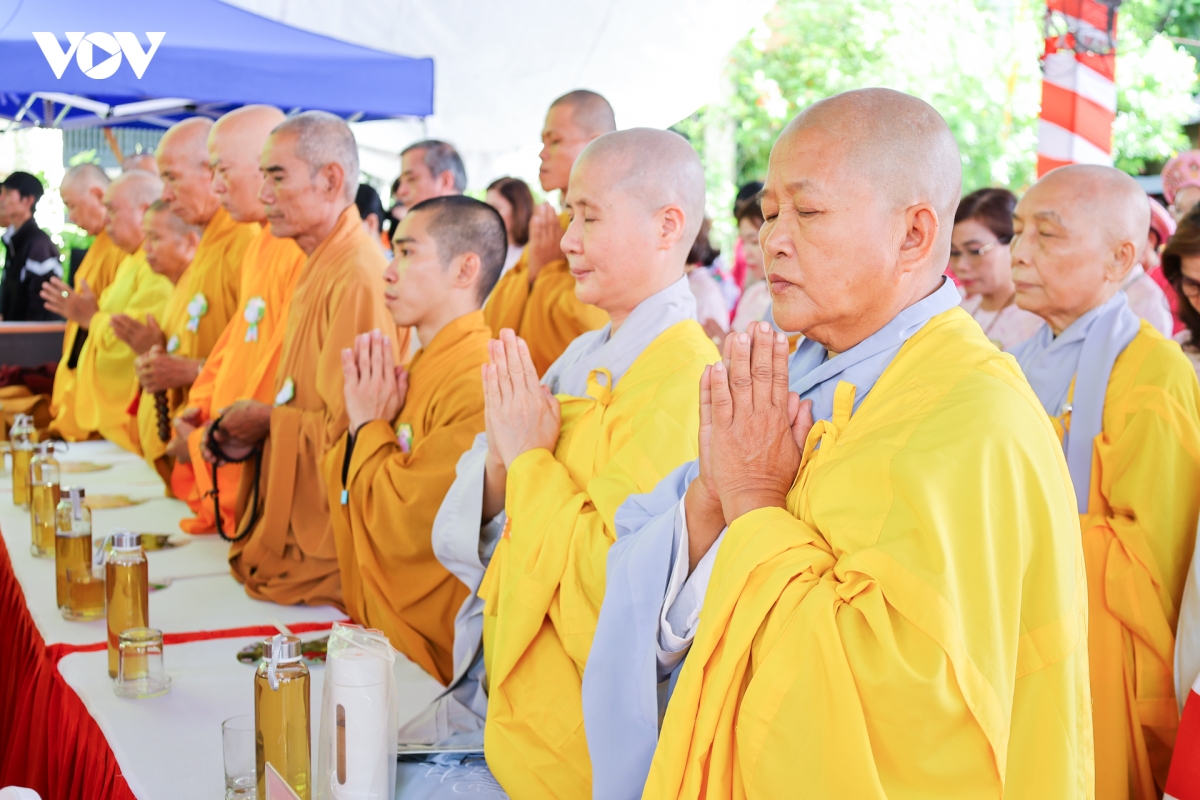 le hoi vu lan bao hieu ngu hanh son 2026 lan toa gia tri dao hieu hinh anh 5