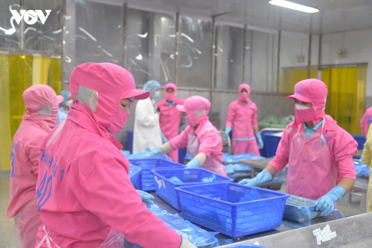 Dong bang song cuu long suc canh tranh bi bop nghet vi diem nghen logistics hinh anh 4