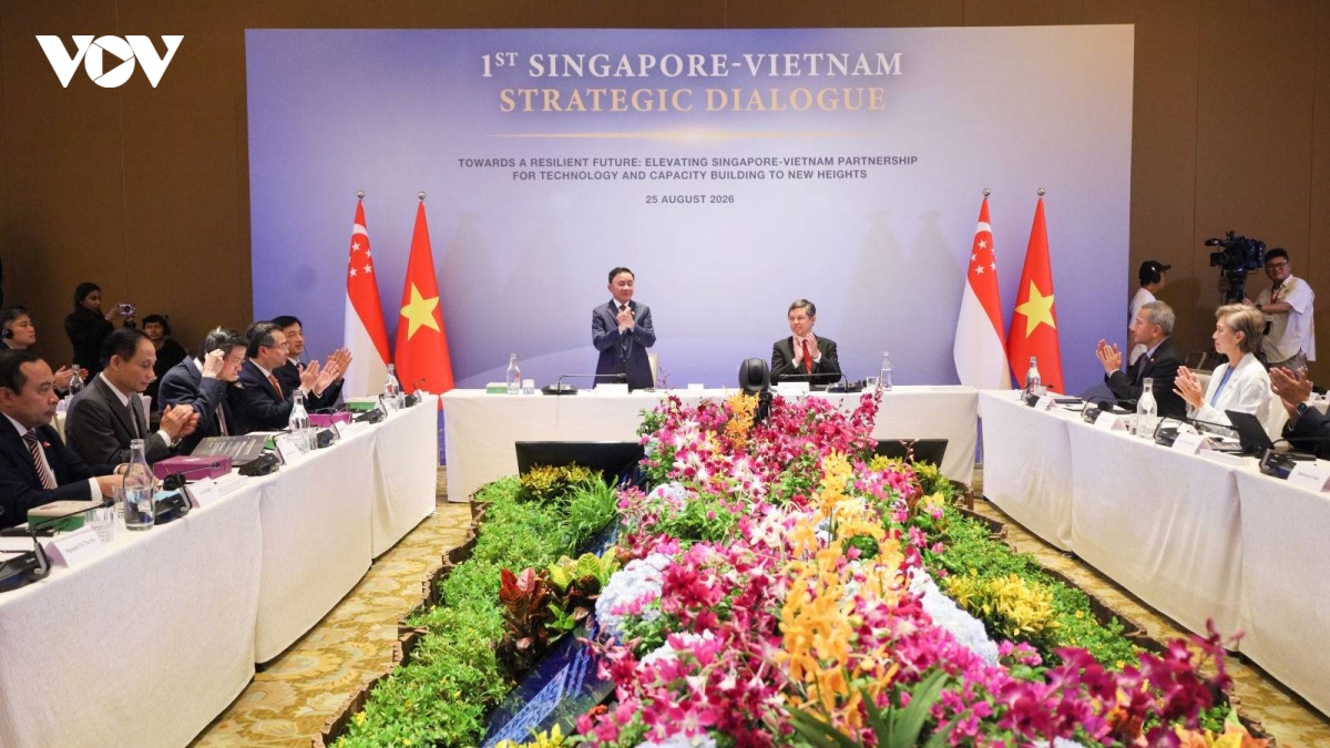thuong truc ban bi thu dong chu tri Doi thoai chien luoc viet nam - singapore hinh anh 1