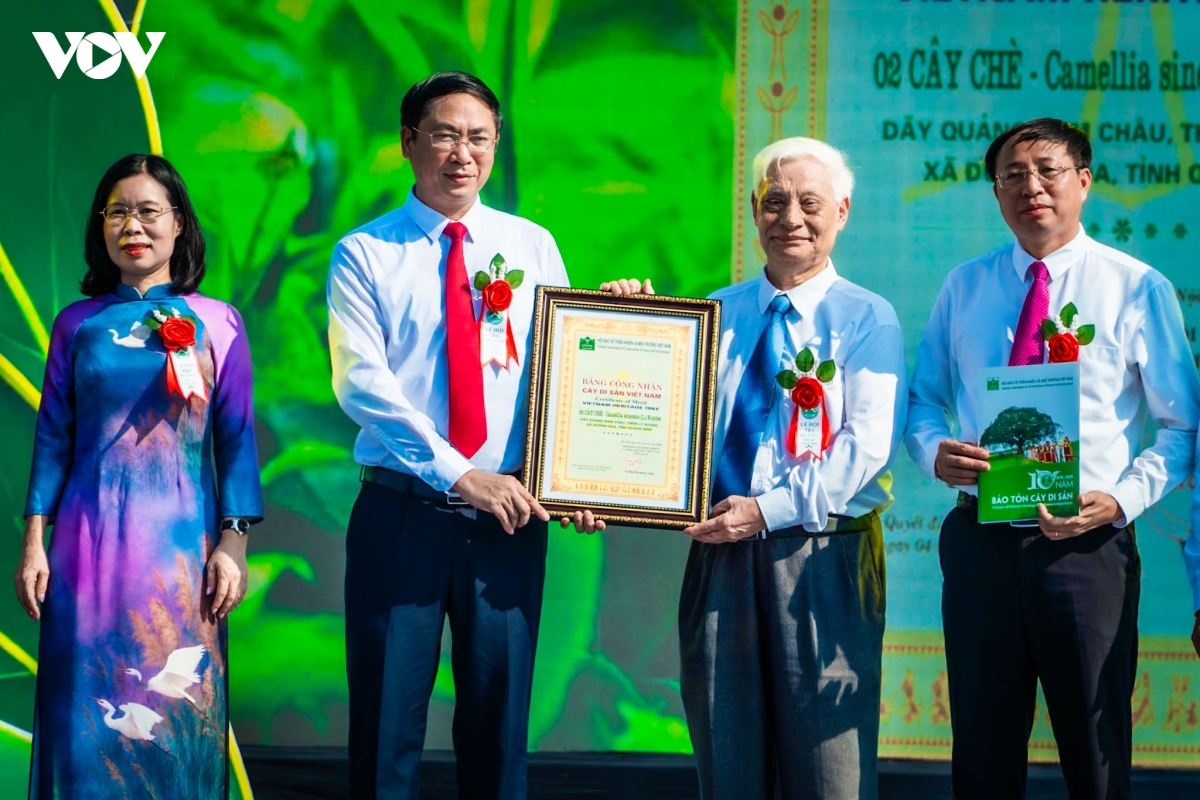 Đường Hoa, Quảng Ninh đón nhận Bằng công nhận Cây chè Di sản