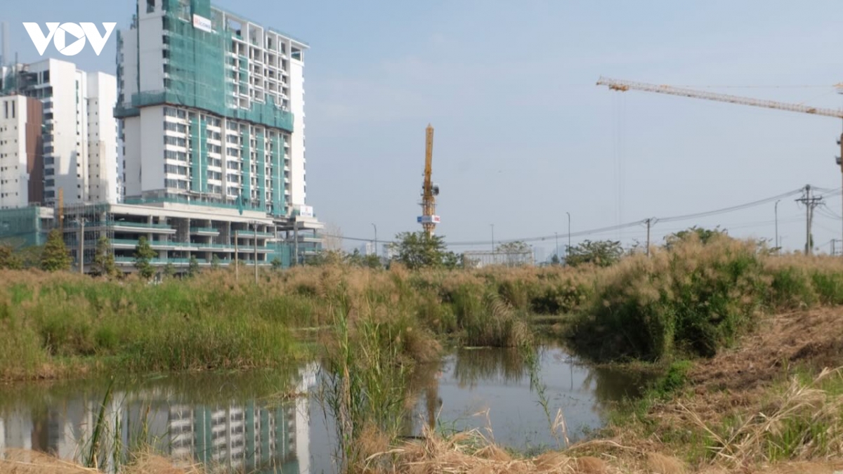 luat Dat dai sua doi Dot pha tu co che thu hoi den so hoa du lieu hinh anh 1
