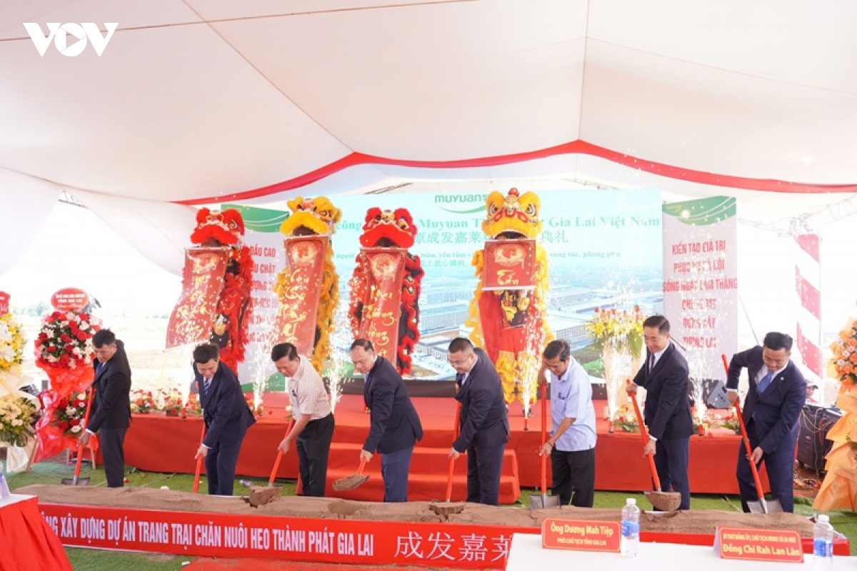 gia lai thu hut hon 175 trieu usd von dau tu tu trung quoc hinh anh 1
