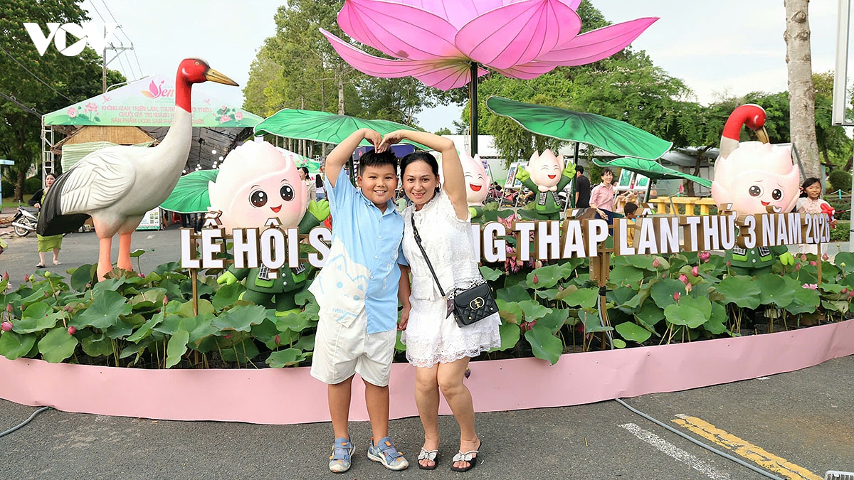 sen Dong thap, tu bieu tuong van hoa den dong luc phat trien hinh anh 2