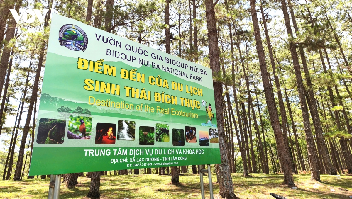 gia lang, nguoi co uy tin tai mat cua luc luong bao ve rung o lam Dong hinh anh 2