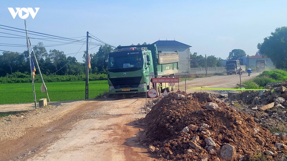 hang tram ho dan hien dat, duong tinh 269c van lo hen hinh anh 2