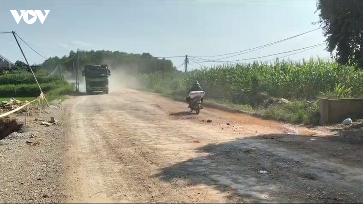 hang tram ho dan hien dat, duong tinh 269c van lo hen hinh anh 3