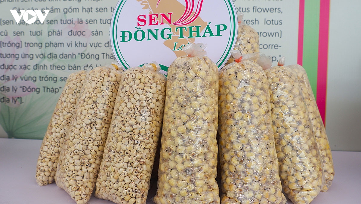 sen Dong thap, tu bieu tuong van hoa den dong luc phat trien hinh anh 3