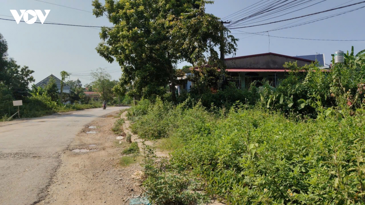 thai nguyen hang tram ho dan hien dat, duong 269c van lo hen hinh anh 5