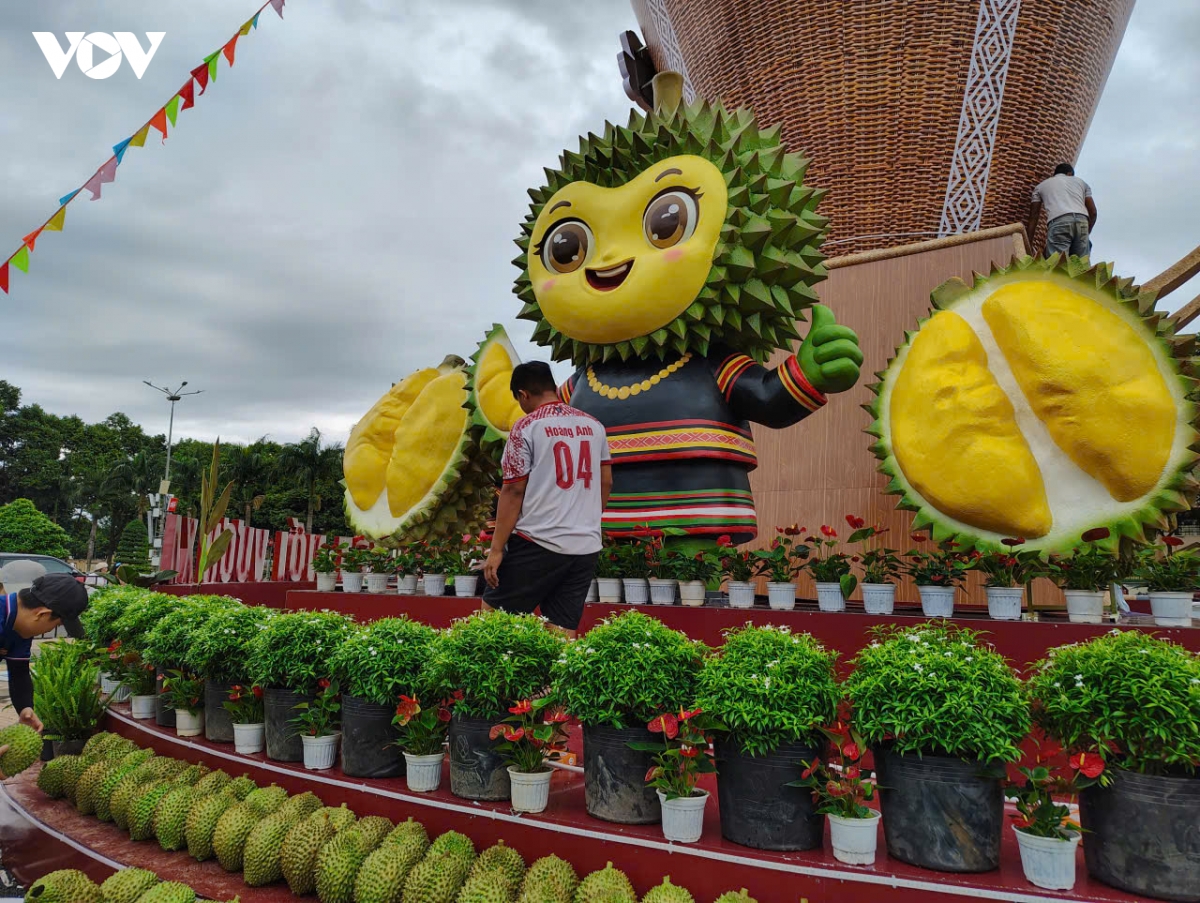 Dak lak san sang cho le hoi sau rieng 2026 hinh anh 2