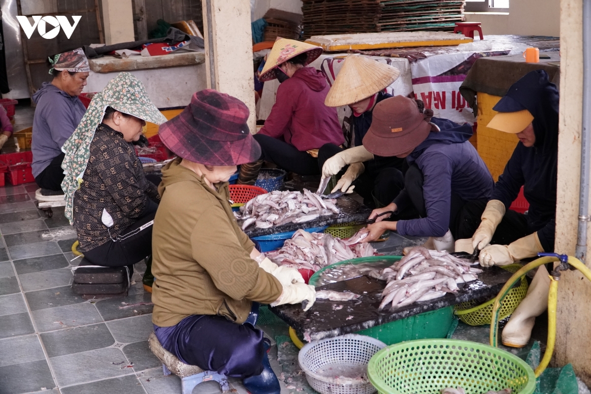 nguoi dan quang tri lam giau tu bien hinh anh 3