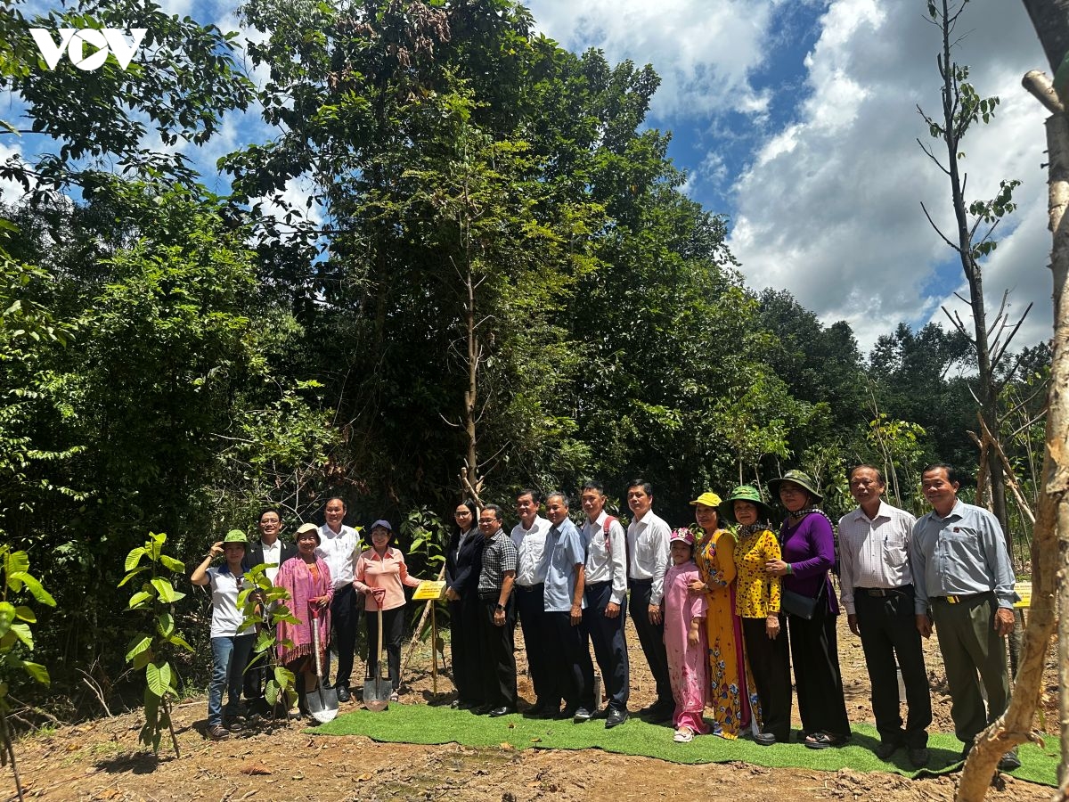  vuon cay huu nghi lan toa thong diep xanh va tinh doan ket quoc te hinh anh 4