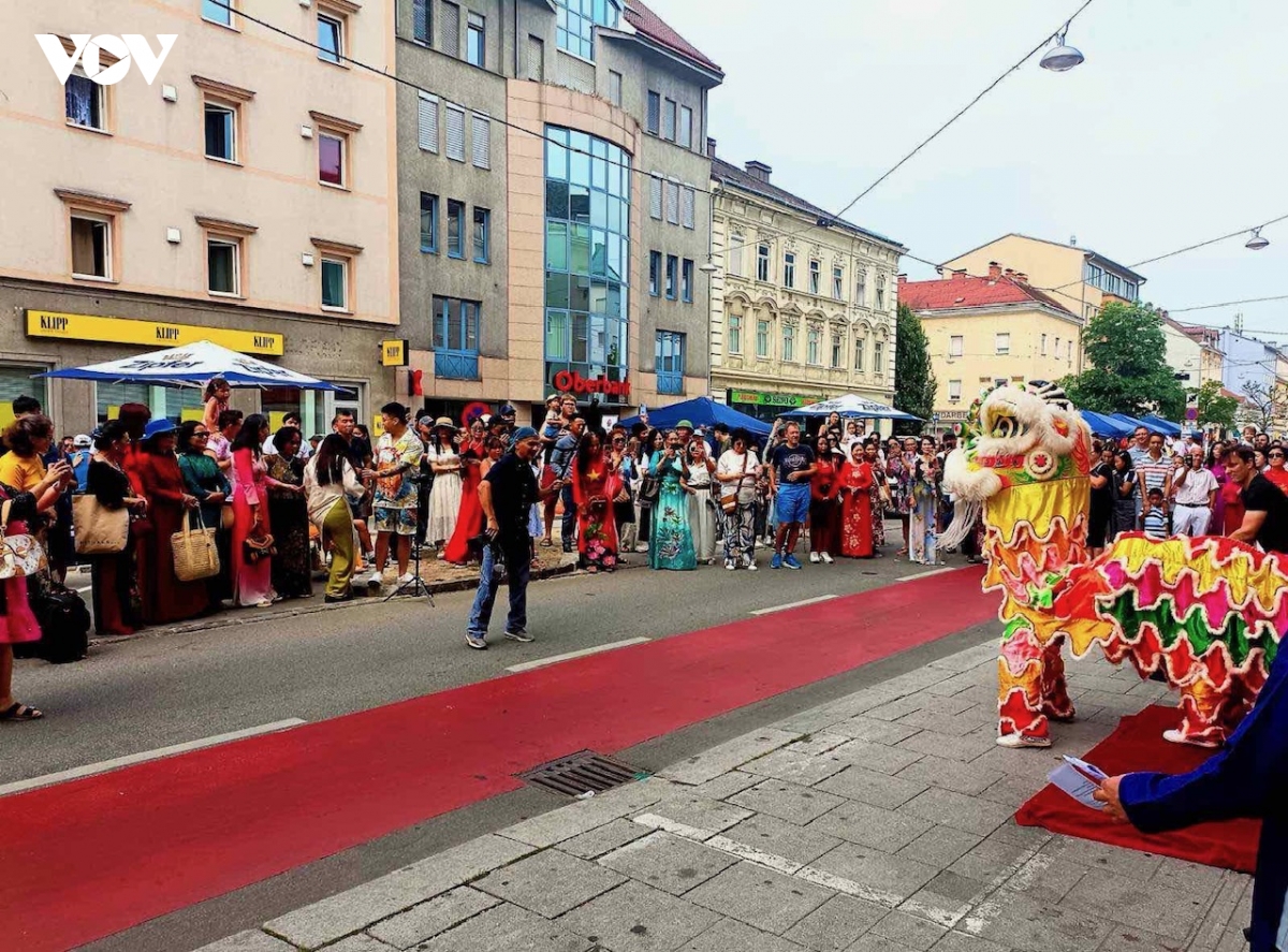 An tuong ngay van hoa viet nam tai thanh pho linz, cong hoa Ao hinh anh 1
