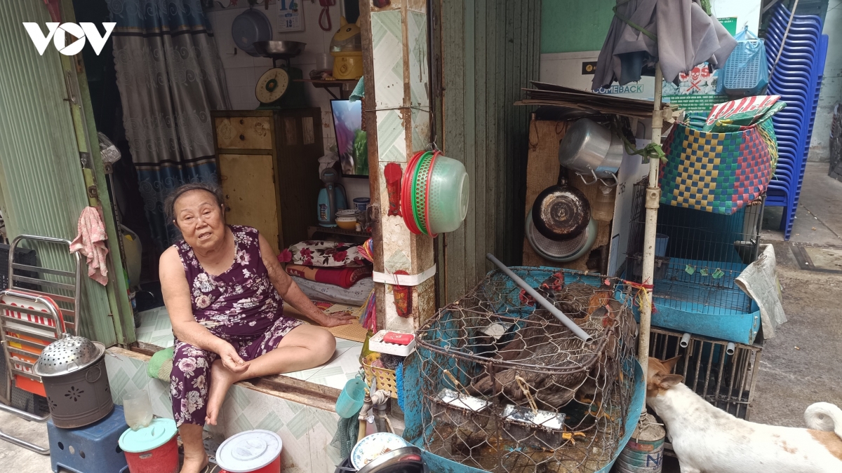 xoa khu o chuot cho ga - cho gao nguoi dan mung lo lan lon hinh anh 10
