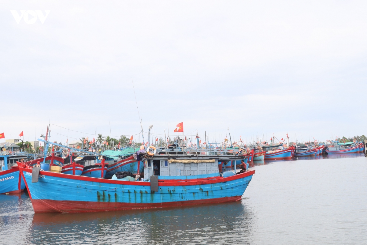 quang ngai dong bo quan ly tau ca som go the vang iuu hinh anh 1