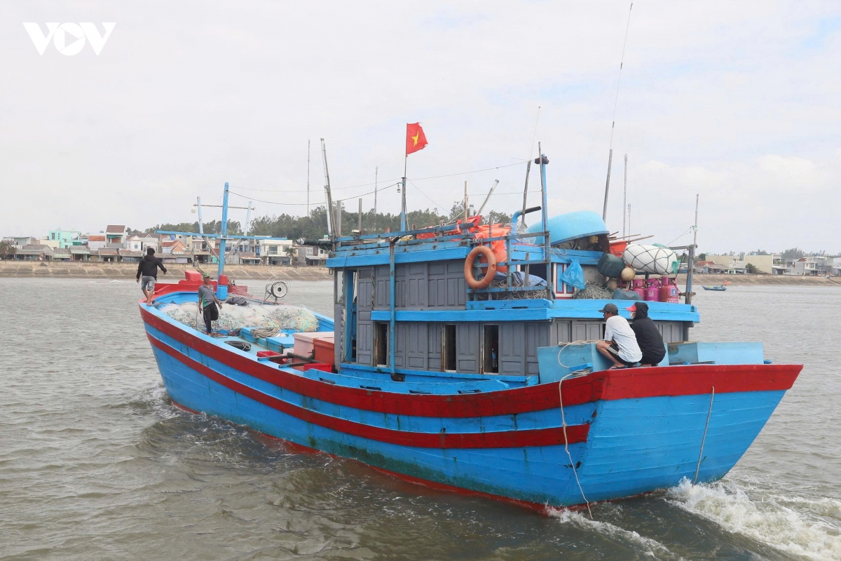 quang ngai dong bo quan ly tau ca som go the vang iuu hinh anh 3