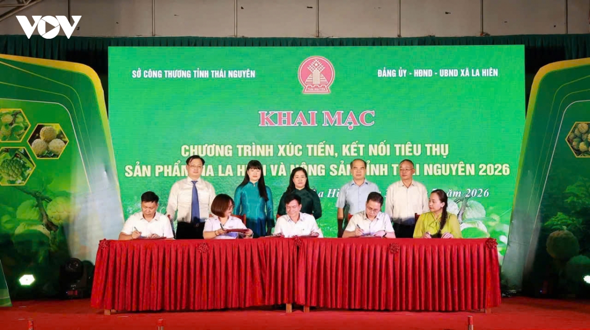 xay dung thuong hieu de san pham na la hien thai nguyen vuon xa hinh anh 3
