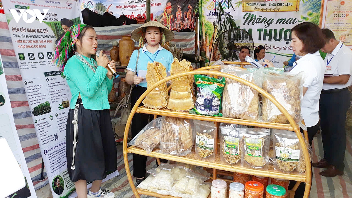 lam thuong ron rang cac hoat dong mo dau le hoi van hoa cac dan toc hinh anh 2