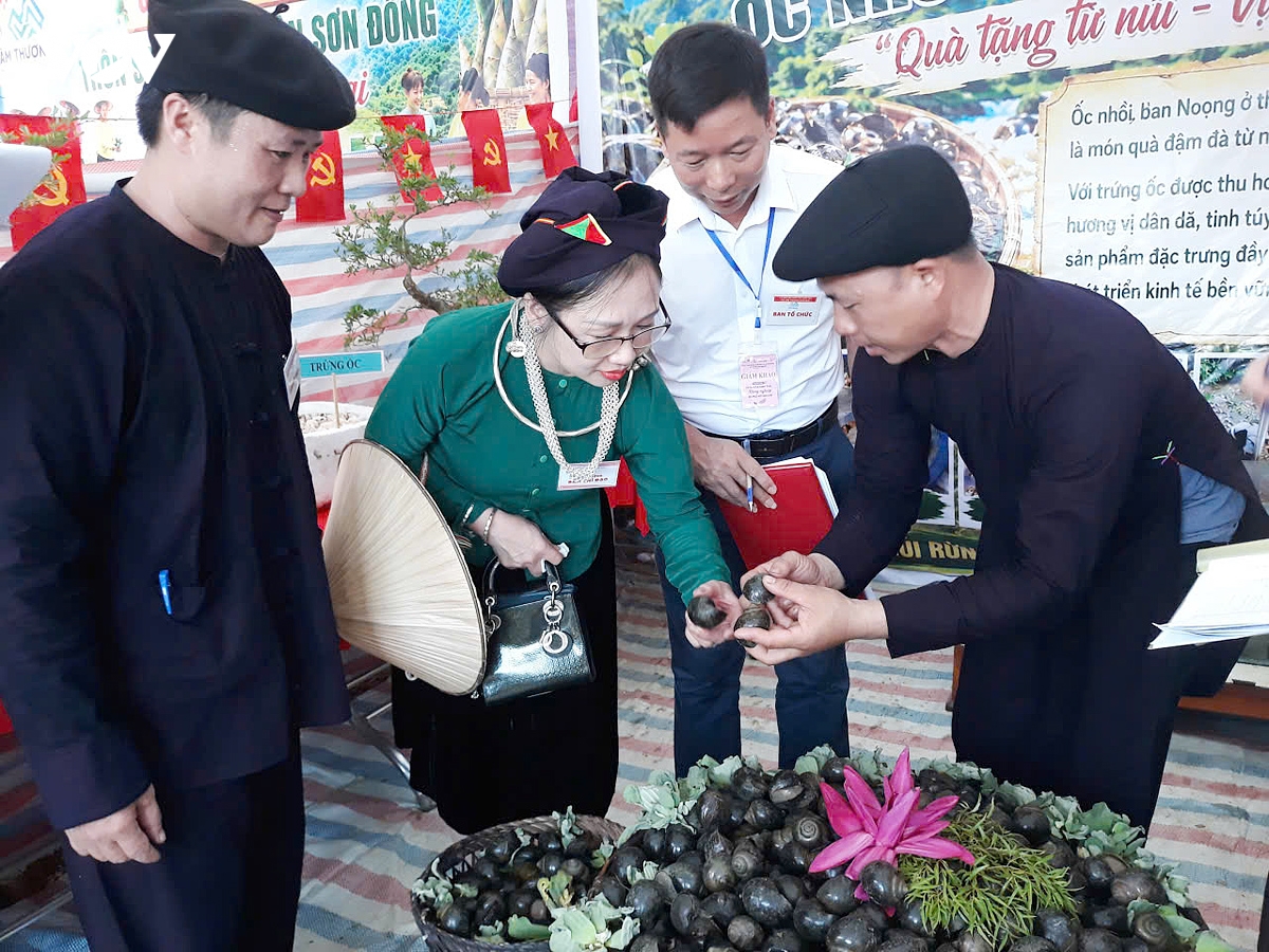 lam thuong ron rang cac hoat dong mo dau le hoi van hoa cac dan toc hinh anh 5