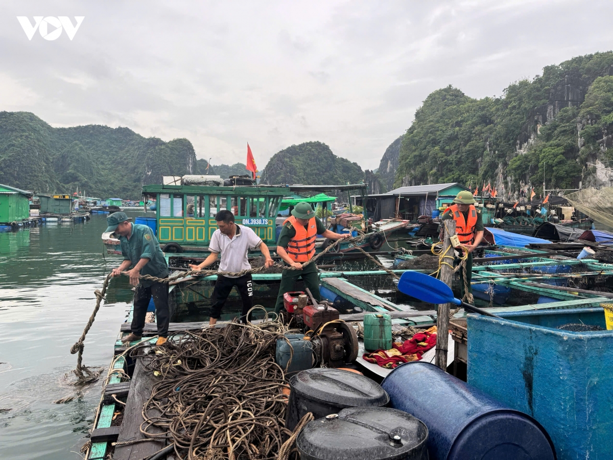 toan bo tau thuyen tai hai phong da vao noi tranh tru bao so 4 an toan hinh anh 1