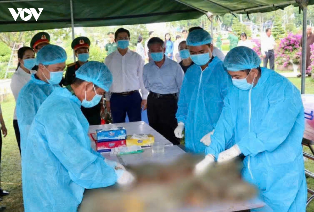 Dong thap lay mau adn tu 531 phan mo liet si hinh anh 1