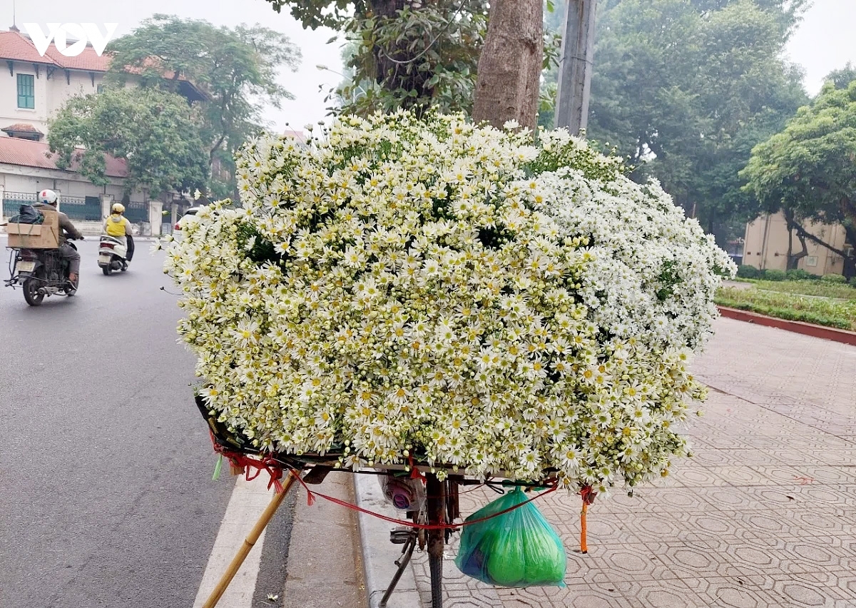 mua thu ha noi, ky uc nong nan theo nhung vet huong hinh anh 3