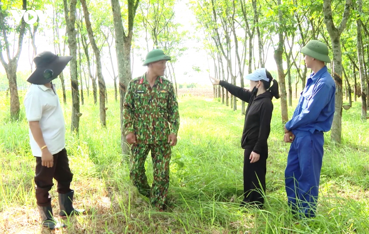 nhan dan gop nhieu tin quan trong giup tim kiem mo liet si tai con tien- doc mieu hinh anh 5