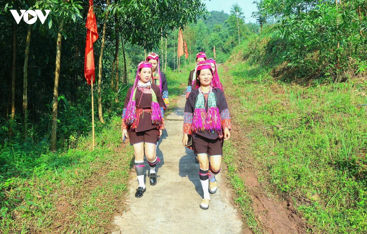 nguoi dan quang ninh dong loat di bau 624 truong thon, ban, khu pho hinh anh 1