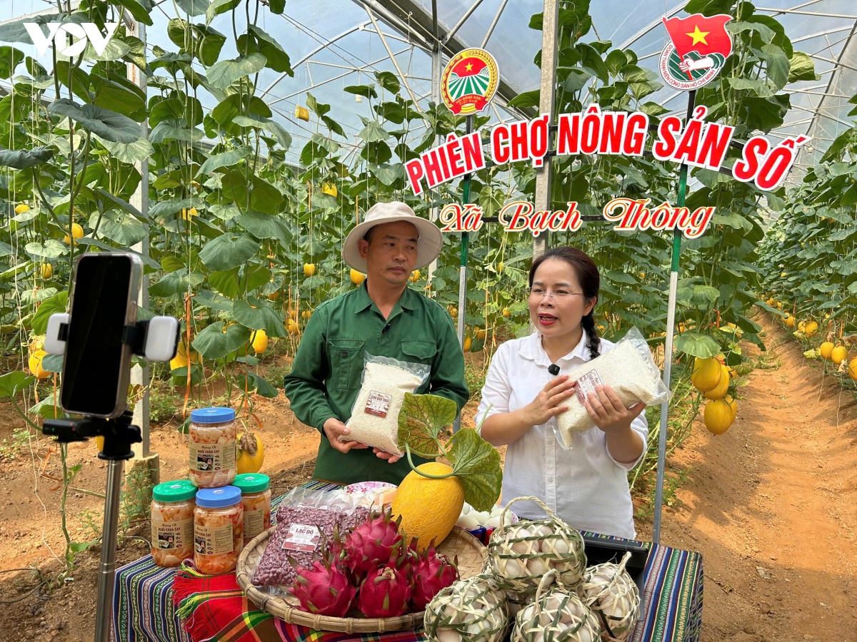 nu bi thu xa livestream ban nong san, hon 2.000 qua dua luoi duoc chot don hinh anh 1