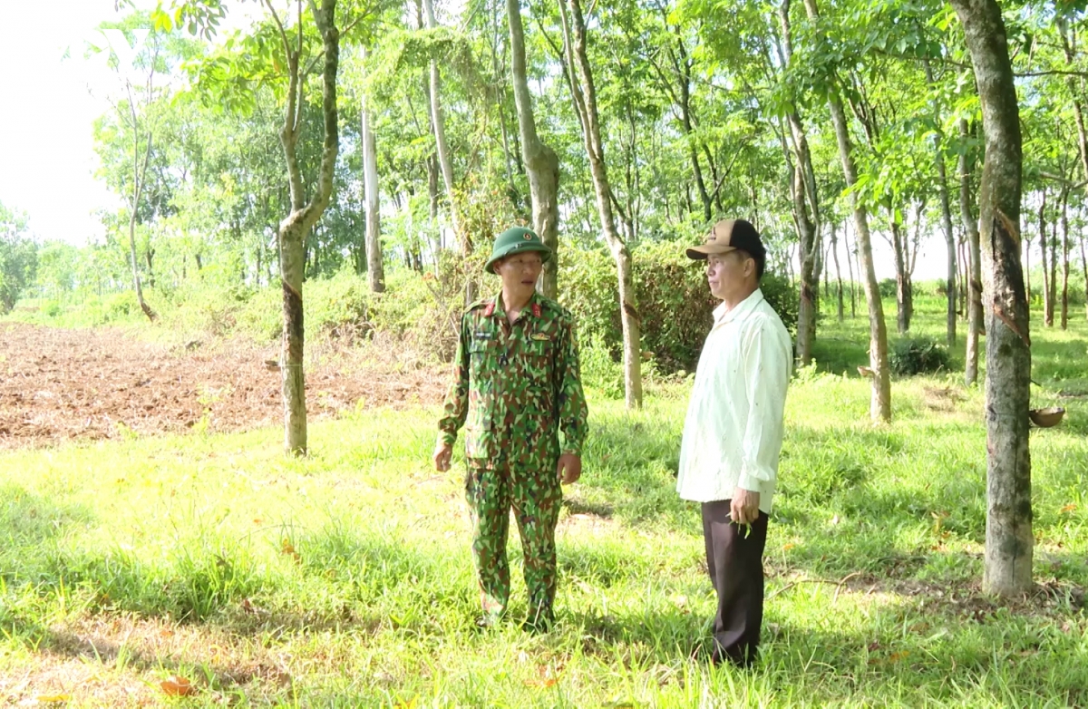 nhan dan gop nhieu tin quan trong giup tim kiem mo liet si tai con tien- doc mieu hinh anh 2